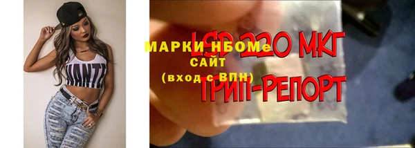 прущая мука Богородицк